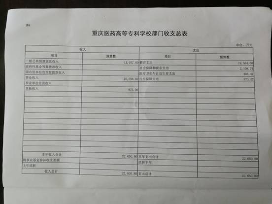 2018年度重庆医药高专收支预算总表
