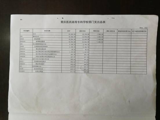 2018年度重庆医药高专支出预算总表